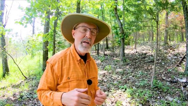 Deer Management: How to Improve the Quality of Native Browse and Food Plots (#497) @GrowingDeer.tv смотреть онлайн