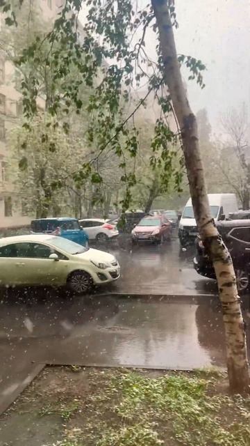 Майский снег, а вы видели?! #май#cегодня#москва#2024#снег#снегвесной#song#live#music смотреть онлайн