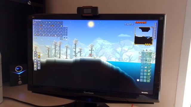 террариум 1