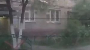 Ёжик чихнул в мемах