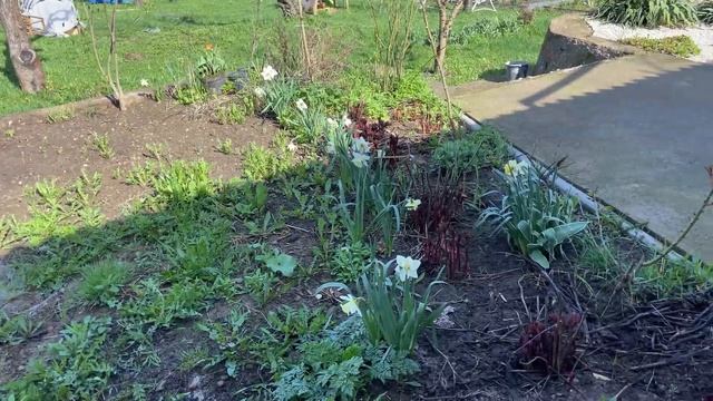 Пробіглася садом #3🌷після відпустки… ПОЧАЛОСЯ!🔥🌸 смотреть онлайн