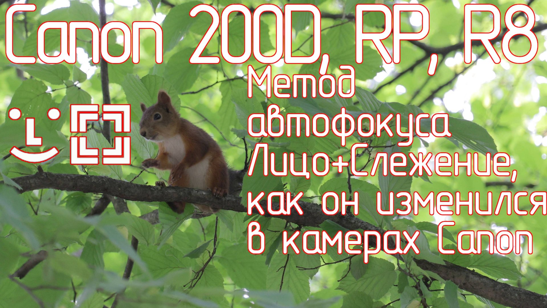 Canon 200D, RP, R8. Метод автофокуса Лицо+Слежение, как он изменился в камерах Canon смотреть онлайн