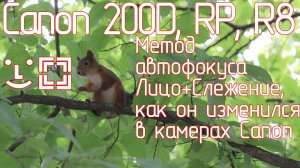 Canon 200D, RP, R8. Метод автофокуса Лицо+Слежение, как он изменился в камерах Canon