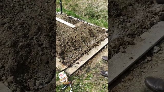 1 мая посадка картофеля) смотреть онлайн