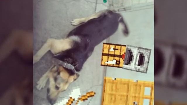 Майник смотреть онлайн