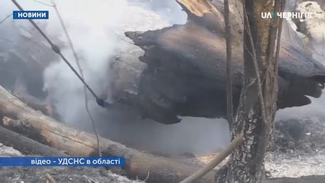Пожежу біля села Сорокошичі Козелецького району локалізували смотреть онлайн