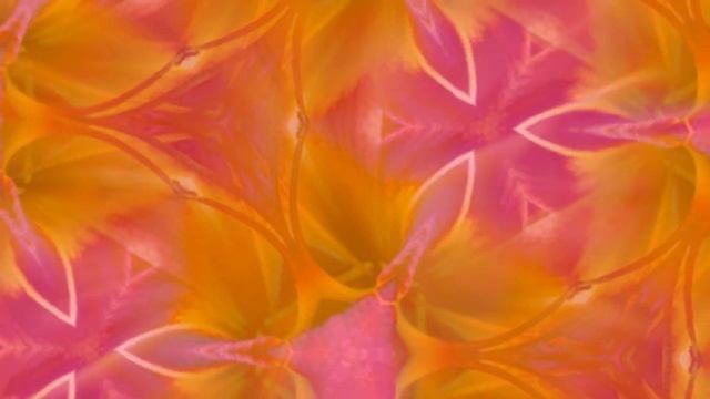 Hemerocallis (Hey Daylily) - remix - original song by Robert Muir смотреть онлайн