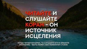 Риван аш-Шишани - 3.5 часа Красивого Чтения Корана