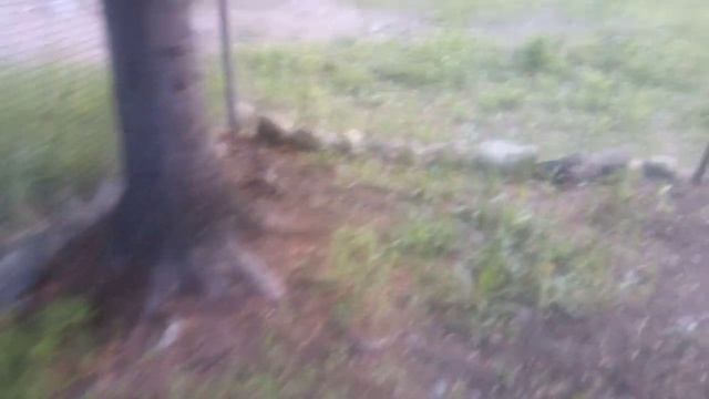 День полива и посадки картофеля. 22.05.2024г. смотреть онлайн