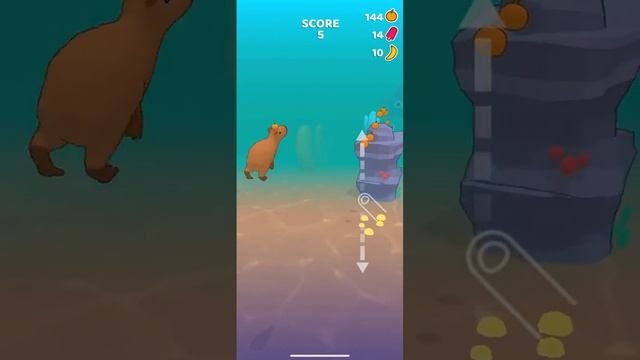 Играю в капибара раш смотреть онлайн