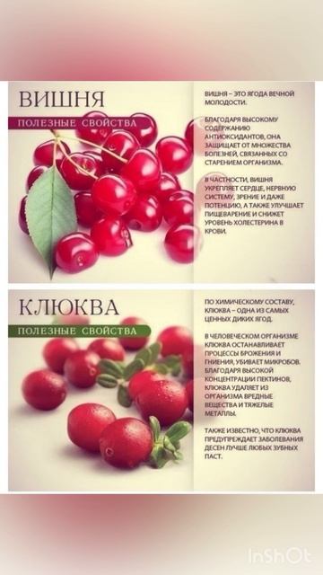#здоровье #здоровыйобраз #здоровыйобразжизни #полезныесвойства #вишня #клюква #shorts смотреть онлайн