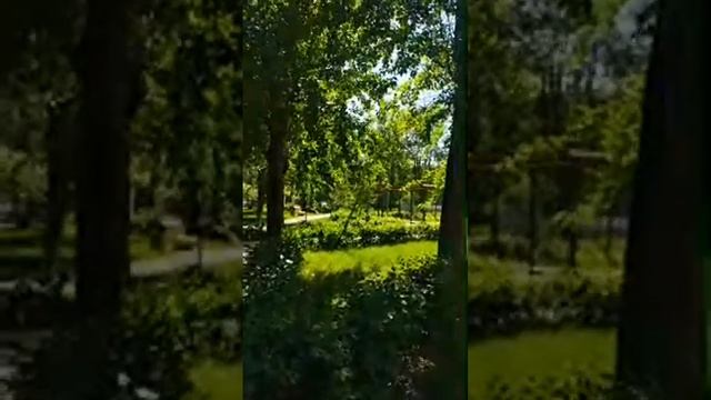 НАШИ ДВОРЫ ПРОЩАНИЕ смотреть онлайн