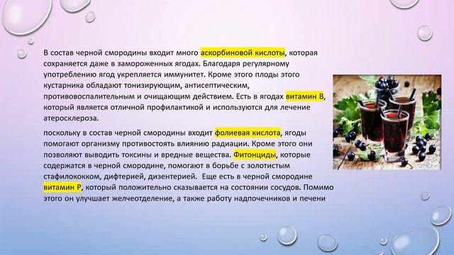 21.08.2020. О чёрной смородине рассказывает Наталья Кехтер. смотреть онлайн