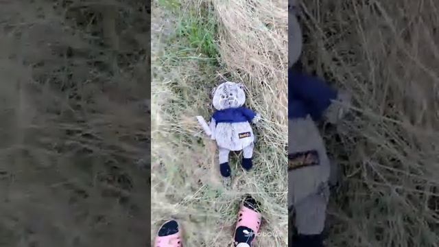 басик на сене смотреть онлайн