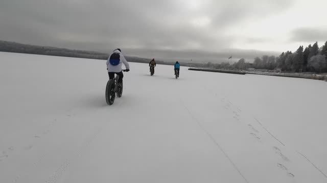 Механизированная Бригада едет по периметру озера Сенеж.Обнаружили замороженную лягушку.Откуда она? смотреть онлайн