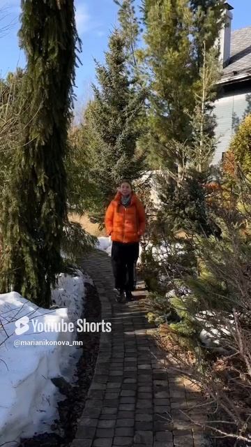 Плохо перезимовала туя. Что делать?! смотреть онлайн