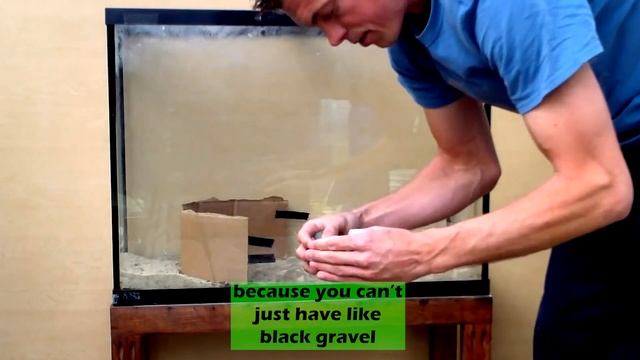 How To Make A Beach: Aquascaping The Perfect Oasis For Your Aquarium смотреть онлайн