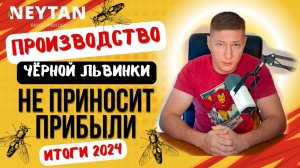 Почему не получается сделать успешный бизнес на чёрной львинке? Производство не даёт прибыли.