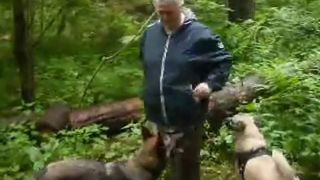 Липа,Хайзи,Белка выгуливают Надю смотреть онлайн