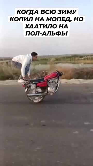 Пол мопеда смотреть онлайн