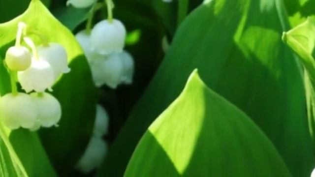 24 января 2023 г. смотреть онлайн