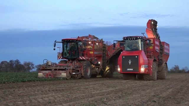 Holmer Terra Dos T4-30 + Terra Variant 600 Bei Der Zuckerrübenernte 2022