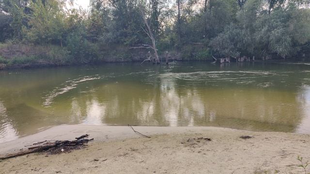 VID_20240824_152323 смотреть онлайн