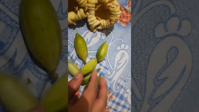 Khaila vagitable and digdiya phul # north east traditional food # dingdiya phul смотреть онлайн