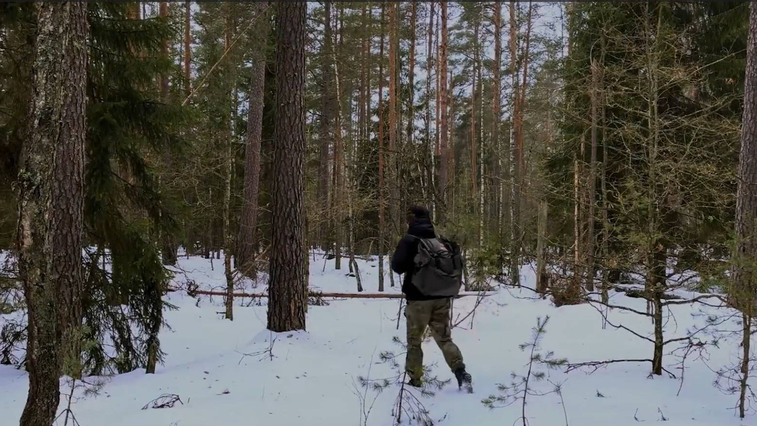 Зимний БУШКРАФТ! Строительство укрытия для выживания в зимнем морозном лесу. Поездка в бушкрафт. смотреть онлайн