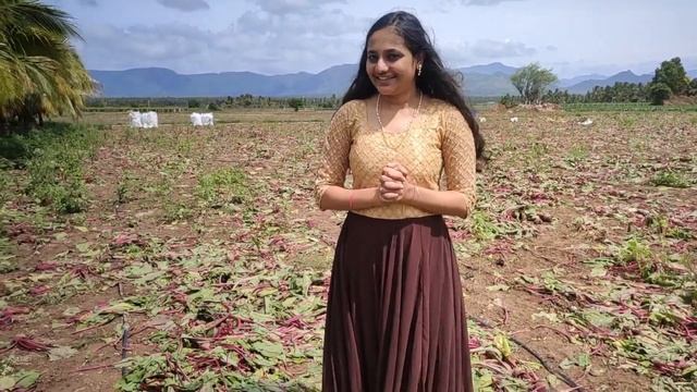 Tamilnadu Village Experience || Vegetable garden ||Grape farm visit смотреть онлайн
