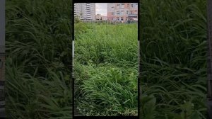 Переезд в Екатеринбург был ошибкой