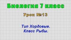 Биология 7 класс (Урок№13 - Тип Хордовые. Класс Рыбы.)