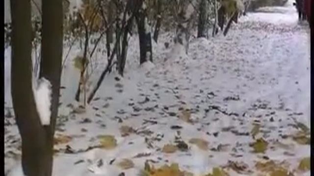 михаил кривошеин ГОЛУБИ "Михалыч" смотреть онлайн