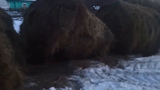 ЖИЗНЬ В ДЕРЕВНЕ//КУПИЛИ СЕНО. смотреть онлайн
