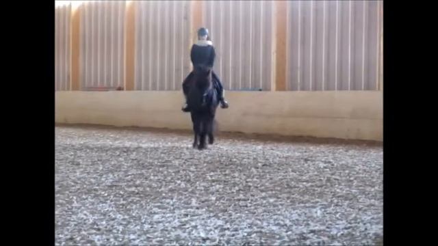 mimosa tammikuussa смотреть онлайн