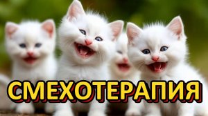 СМЕХОТЕРАПИЯ /// СМЕШНЫЕ ЖИВОТНЫЕ /// НЕЙРОСЕТЬ