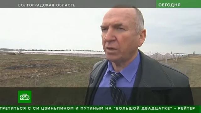 В Волгоградской области устроили облаву на китайские теплицы смотреть онлайн