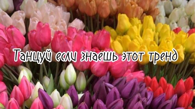 🌺 ТАНЦУЙ ЕСЛИ ЗНАЕШЬ ЭТОТ ТРЕНД 2024 | ТИК ТОК ТРЕНДЫ ИЛИ МУЗЫКА ДЛЯ ФЛЕШМОБА 🌺 смотреть онлайн