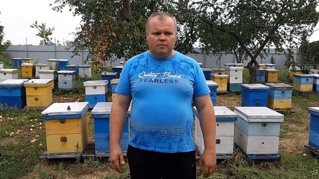 Итоги сезона, точек 2 - Карника, сентябрь 2018 смотреть онлайн