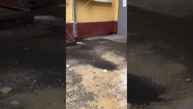 #дневникпредседателя #Волгоград #двор #наледь #самоуправление смотреть онлайн