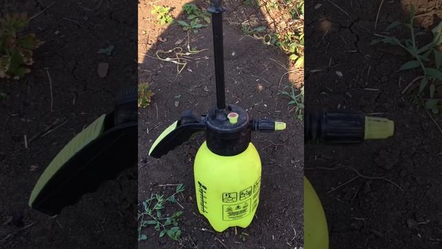 Фотовызов. Когда всё зелёное. Фотограф -Астахова Мария смотреть онлайн