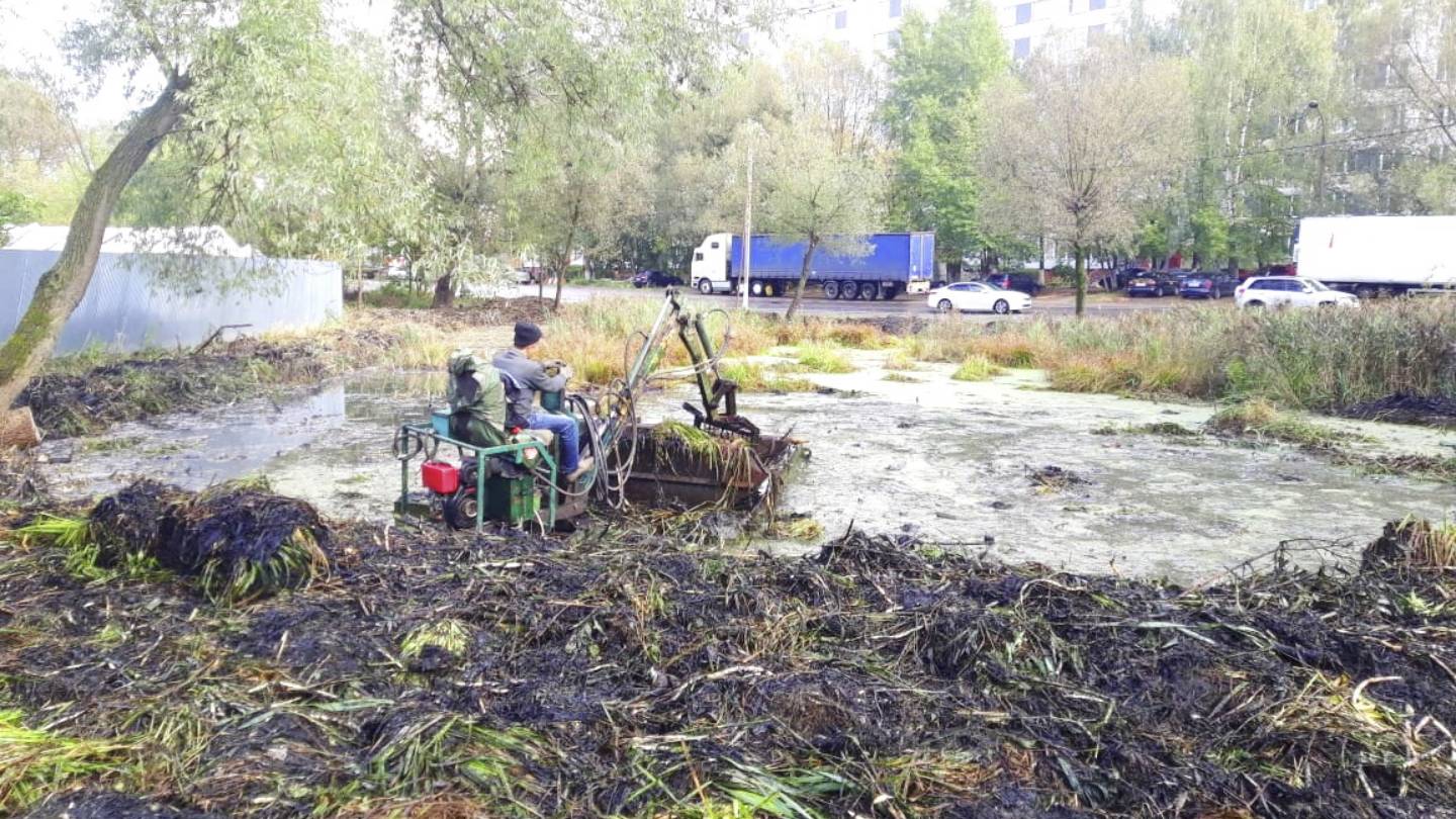 Ногинск полное восстановление и очистка пруда смотреть онлайн