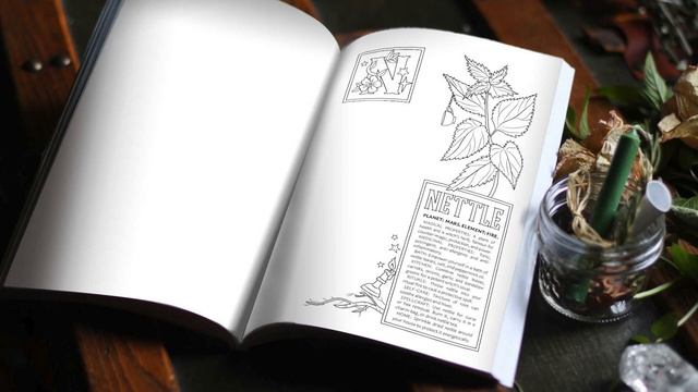 Coloring Book of Shadows: Green Witch's Herbal - Full Preview смотреть онлайн