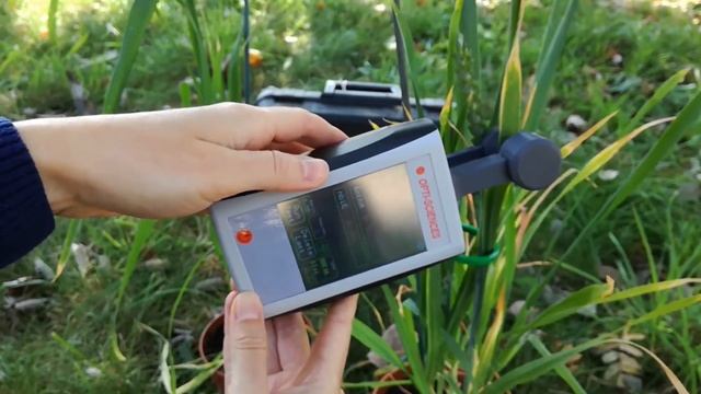 MPM-100 Multi-Pigment Meter смотреть онлайн