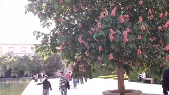 Прага (Чехия) – Прага (Чехія) – Praha (Česká republika) №1 смотреть онлайн