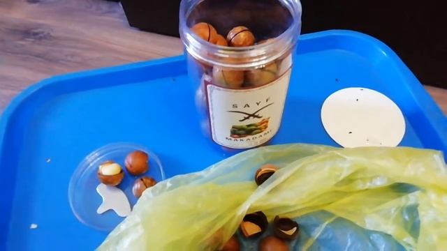 Орех макадами смотреть онлайн
