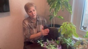 Красивые изделия из остатков ротанга