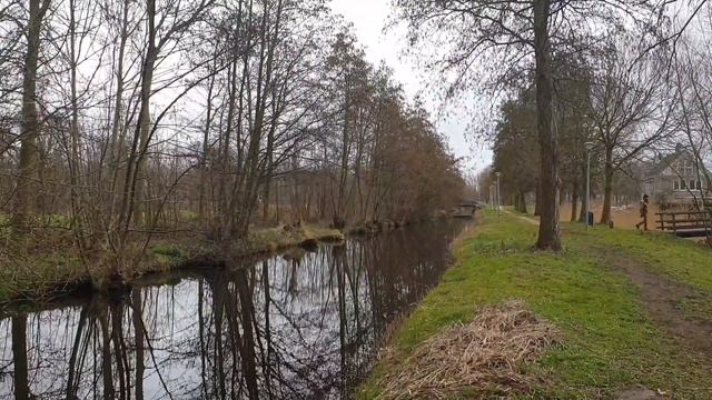 #Обычный весенний #день. #Подснежники. смотреть онлайн