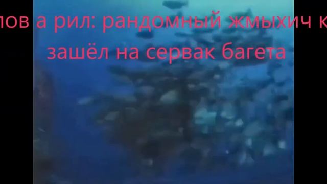 жопа попа penis смотреть онлайн