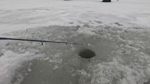 СГОНЯЛ НА РЫБАЛКУ и ВОТ КОГО ПОЙМАЛ! Рыбалка в феврале река ОКА!